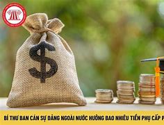 40 Năm Tuổi Đảng Được Hưởng Bao Nhiêu Tiền