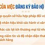 Đăng Ký Nhãn Hiệu Và Thương Hiệu