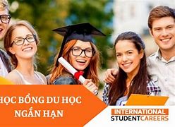 Học Bổng Ngắn Hạn 2022 Hanu Conache Japan University Ranking