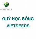 Học Bổng Vietseeds 2022 Là Gì ؟ Của Mỹ Là