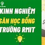 Săn Học Bổng Đại Học Rmit 2024 Vietnam List Of Students