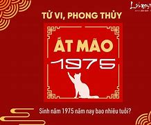 Sinh Năm 1975 Thì Bao Nhiêu Tuổi