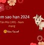 Tuổi Mùi 1991 Năm 2024 Bao Nhiêu Tuổi