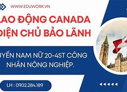 Xklđ Canada 2022 Lương Tháng Mấy In Hindi News Paper